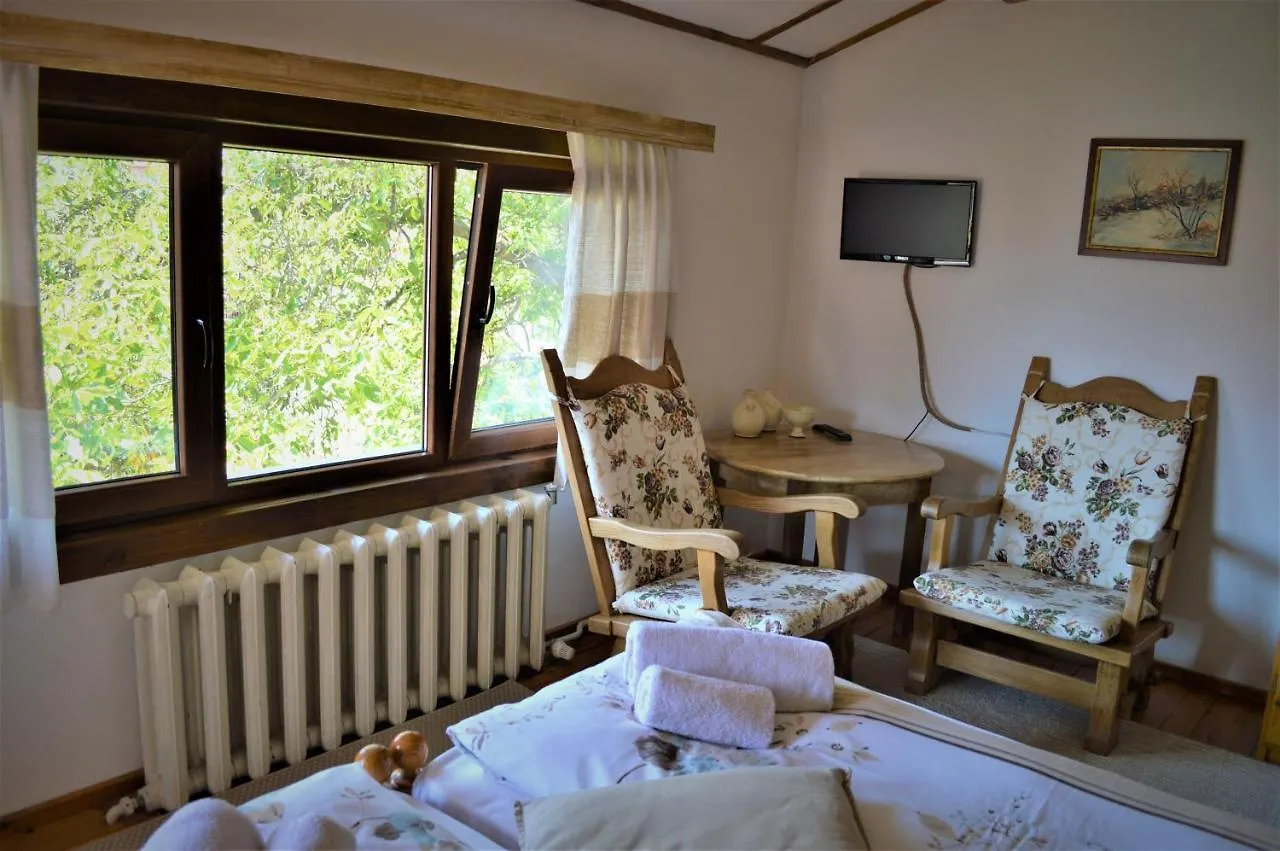Guest House Sema Bansko 3*,